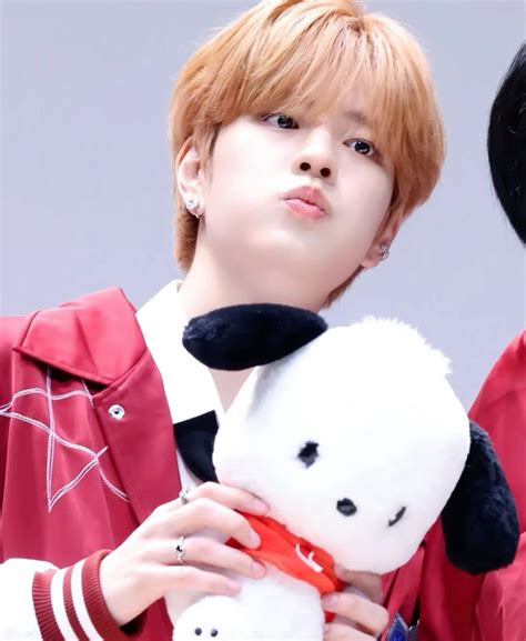 21 Stray kids sanrio ideas | stray, kids, stray kids seungmin
