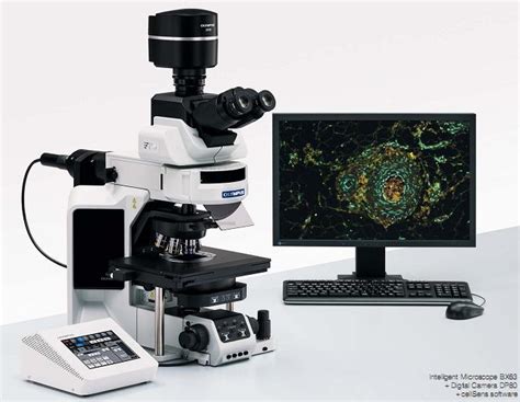 生物显微镜_NIKON尼康Ts2/Ts2-FL荧光研究倒置生物细胞显微镜 - 阿里巴巴