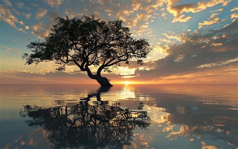 Image result for Tree Diagram of Java Data Structures
