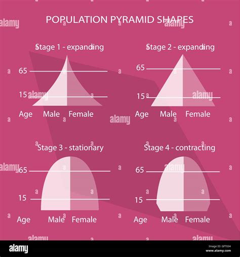 Population and Demography, Illustration Set of 4 Types of Population ...