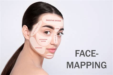 Image result for Face Mesh Map