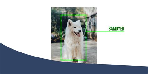 Object Detection Model with Keras 的图像结果