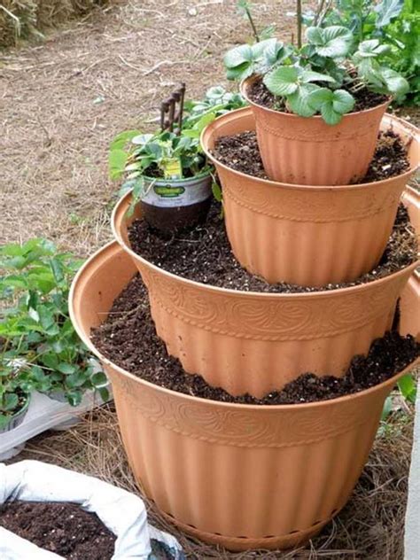 Image result for Visualize Alignment