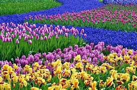 Image result for Cute Spring PC Backgrounds