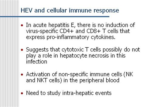 HEV and cellular immune response