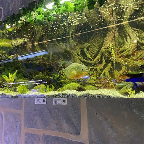 BAY GARDEN CENTRE & AQUATICS (2026) All You Need to Know BEFORE You Go ...