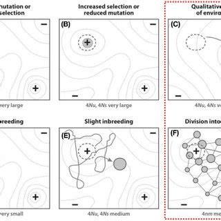 Fitness Landscape 的图像结果