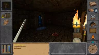 Image result for Daggerfall Unity Mod Presets