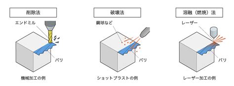 Image result for Structural Components of Shell