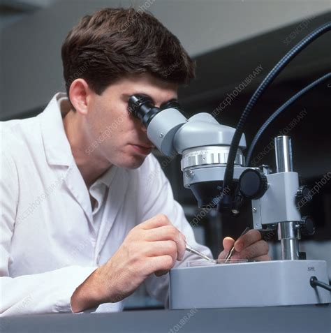 Image result for Stereo Microscope Uses