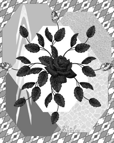 Black-White [Siyah Beyaz] Resimler (4. Katalog) - Sayfa 48