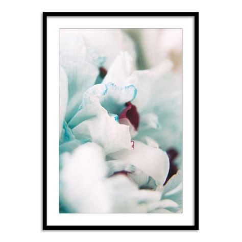 Paris Petals 2 – Calcuttan
