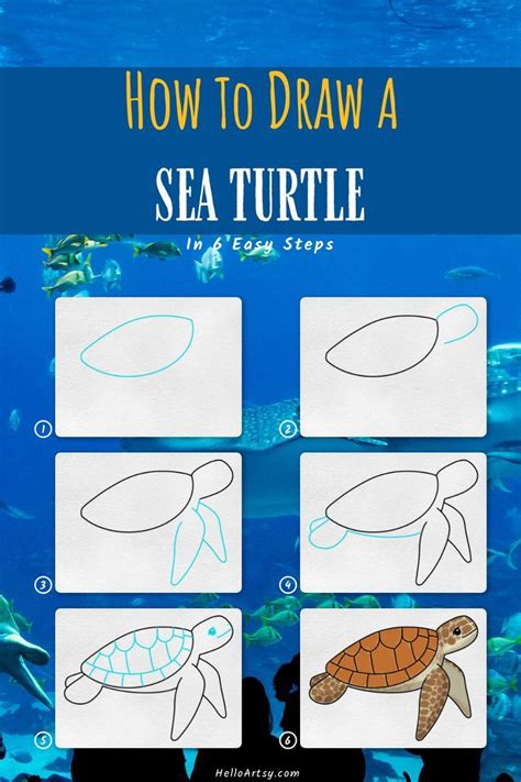 How to draw a sea turtle easy art turtle drawing tutorial - Artofit
