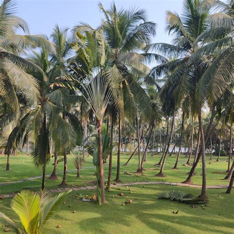 THE LALIT RESORT & SPA BEKAL (Udma) - Hotel Reviews, Photos, Rate ...