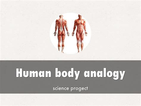HTML CSS JavaScript Human Body Analogy 的图像结果