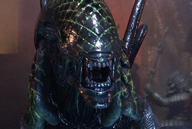 Image result for Alien vs Predator Requiem Jesse