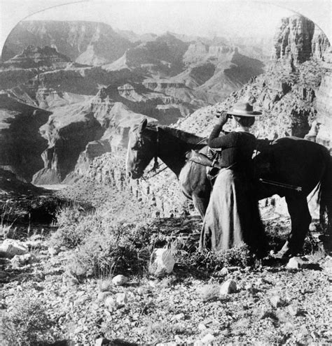 Grand Canyon Sightseer Na Woman Standing Next To A Horse As She Looks ...