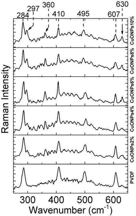 Preparation of CuONPs@PVDF/Non-Woven Polyester Composite Membrane ...