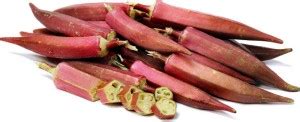 WILLVINE NBIR-353 Okra Red F1 Hybrid Seeds (LADIES FINGER) -200 Seeds ...