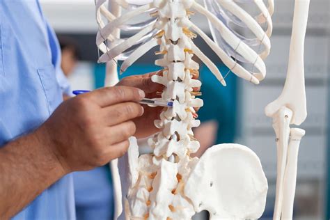 The 25 Best Osteopathic Medical Schools (2025) | Leland