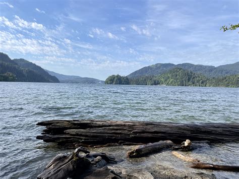 Lake Whatcom Park - Hertz Trail — Washington Trails Association