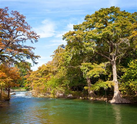 The Local Store NB 的图像结果