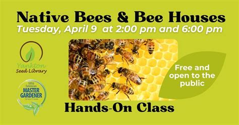 Yankton Seed Library – Native Bees, Yankton Community Library, 9 April ...