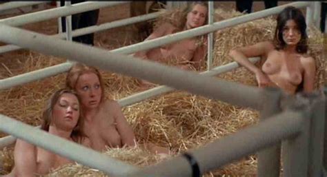 Porn Pictures Female Cattle Ranch