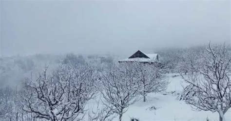 बर्फबारी कई मायनों में है फायदेमंद, लुत्फ उठाने के साथ जानिए और क्या ...