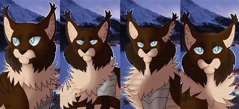 Image result for Bucky Python Tutorial