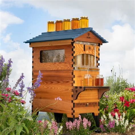 Image result for Flow Hive Problems