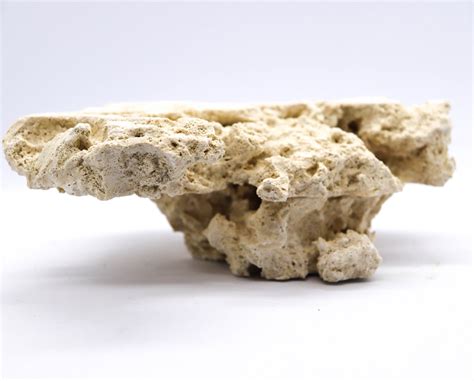 Image result for Best Reef Refractometer