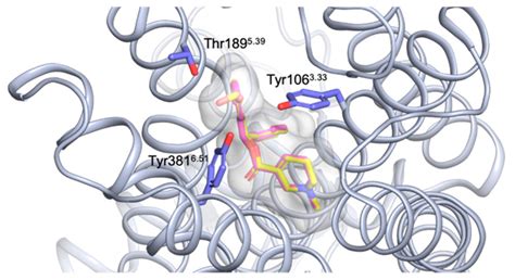 Synthesis, Biological Evaluation, and Docking Studies of Antagonistic ...