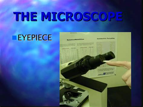Microscope Example Slide 的图像结果