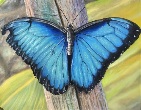 Buy Butterfly Art, Butterfly, Blue Butterfly Painting, Wall Decor, Art ...