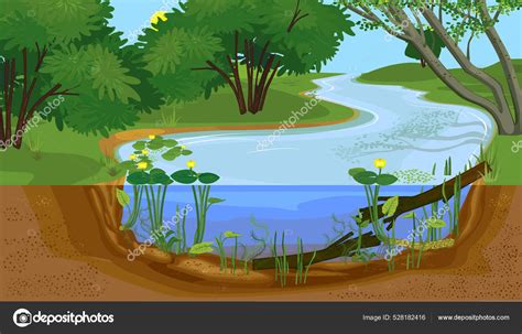Freshwater Aquatic Ecosystem