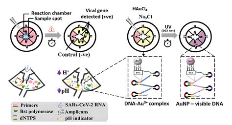 Lamp Technology 的图像结果