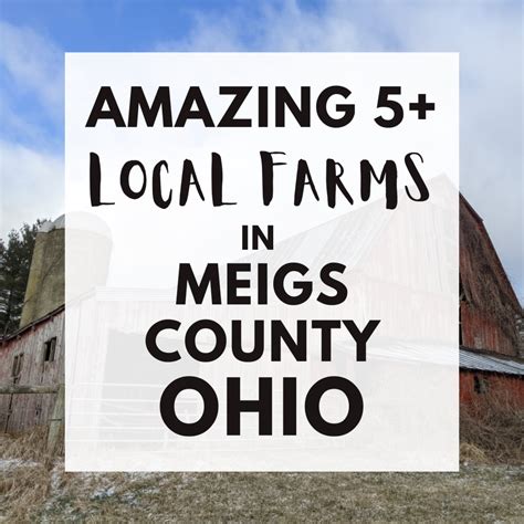 Fresh Ohio Produce: Where to Buy Local Fruits and Veggies Year-Round ...
