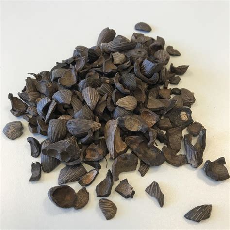PKS (Palm Kernel Shell) - a granel - Euro Pellets