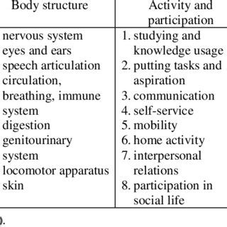 Image result for International Classification of Functioning Scoring