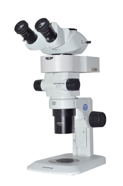 Fluorescence Microscope 的图像结果