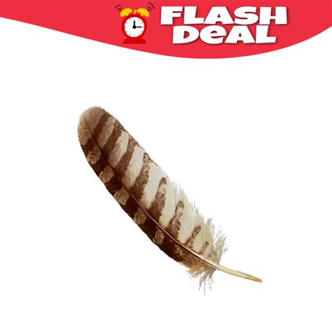Natural Owl Feather | Ullu Ka Pankh | Lab Certified | Timeshopee