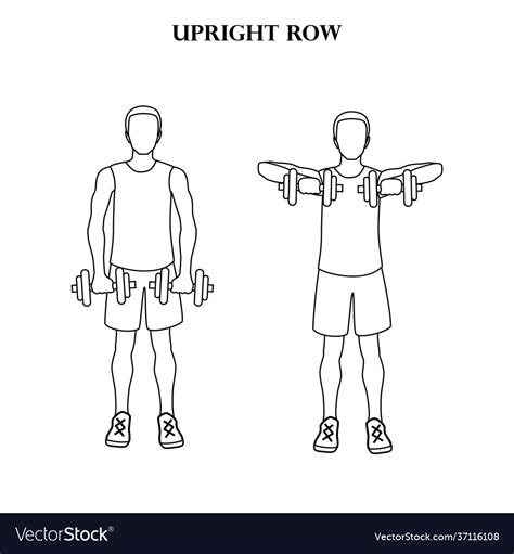 Image result for Horizontal Row Exercise