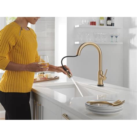 Delta Trinsic Champagne Bronze Single Handle Touchless Pull-down ...