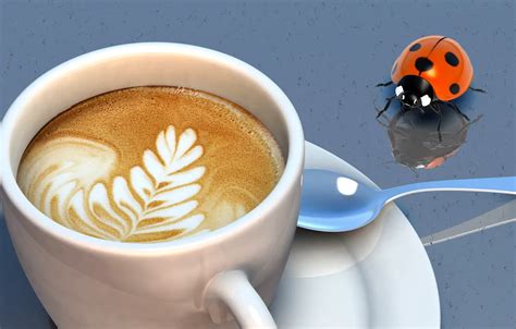 Wallpaper ladybug, coffee, spoon, Cup, foam for mobile and desktop ...