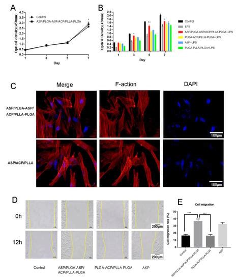 Anti-Inflammatory and Mineralization Effects of an ASP/PLGA-ASP/ACP ...