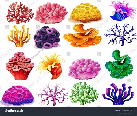 Vibrant Vector Illustrations Various Coral Types Stock Vector (Royalty ...