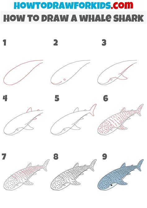 How to Draw a Whale Shark - Easy Drawing Tutorial For Kids | Shark ...