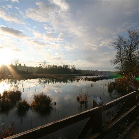 SCHWENNINGER MOOS (2025) All You Need to Know BEFORE You Go (with ...