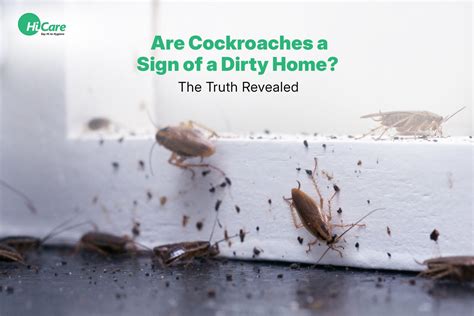 The Truth Behind Cockroaches and Dirty Homes | HiCare – HiCare (A ...